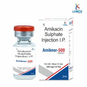Amiknor-500 2ML  INJECTION 3D